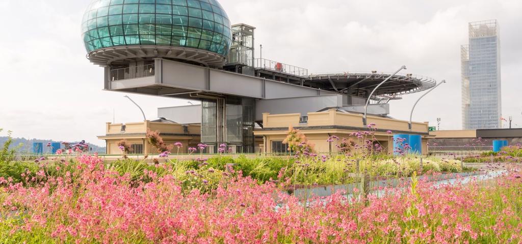 Fiat's factory in Torino rooftop garden is being redesigned Fiat's factory in Torino rooftop garden is being redesigned
